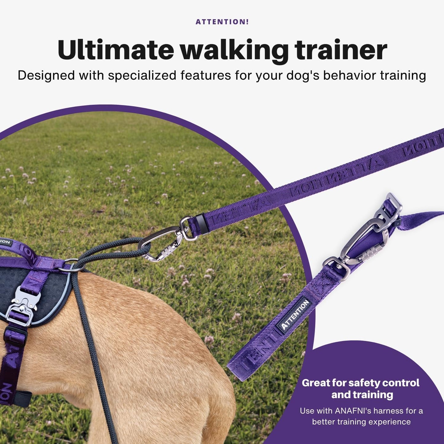 Attention Leash