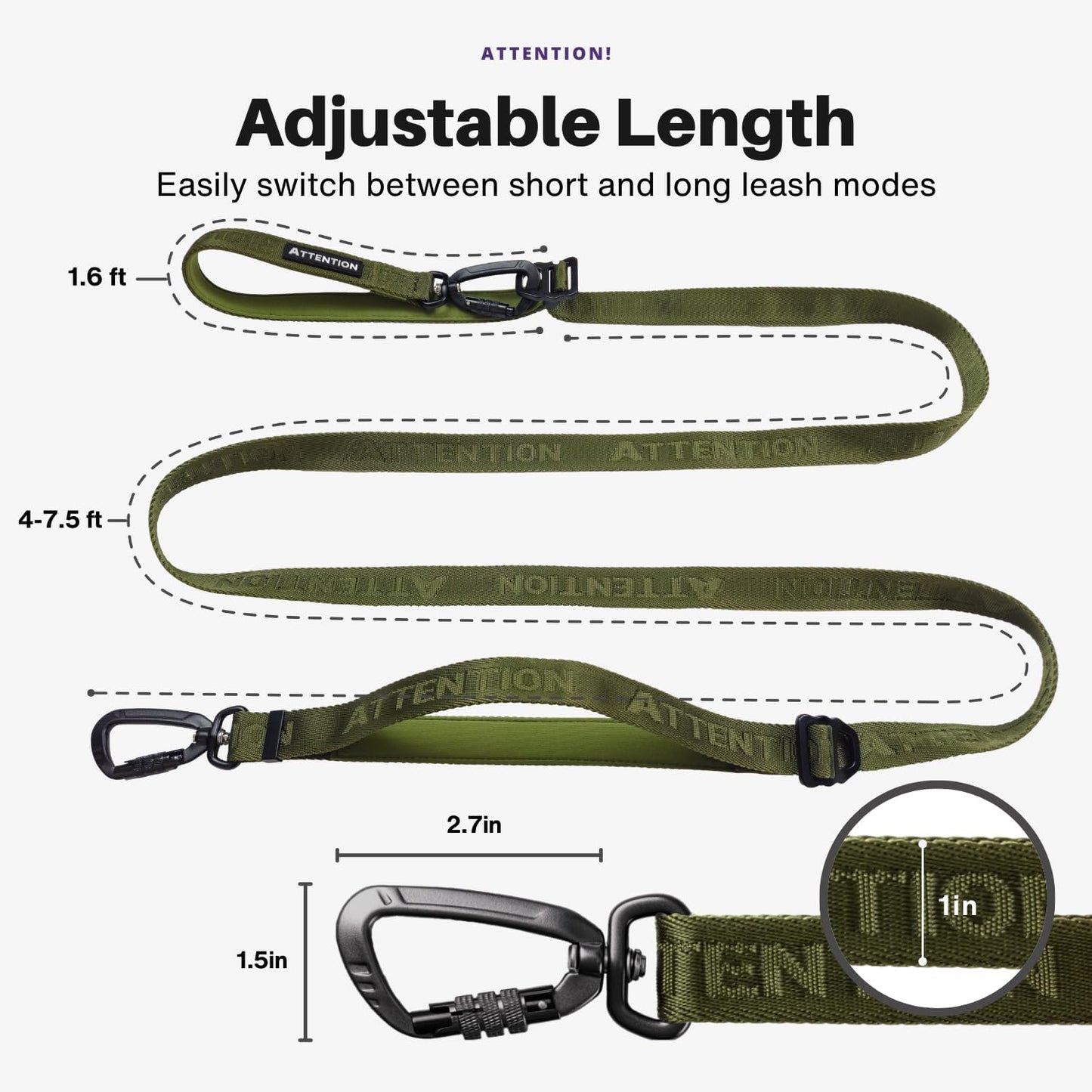Attention Leash