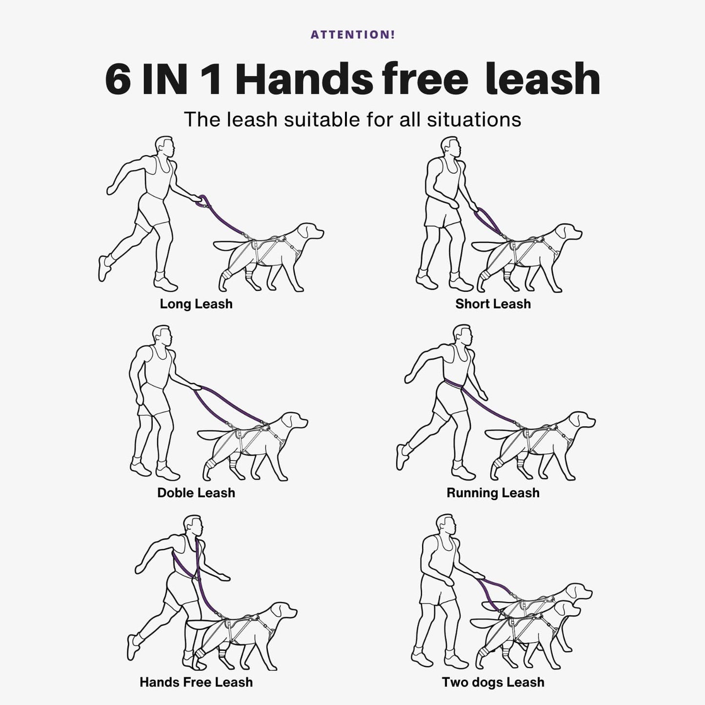 Attention Leash