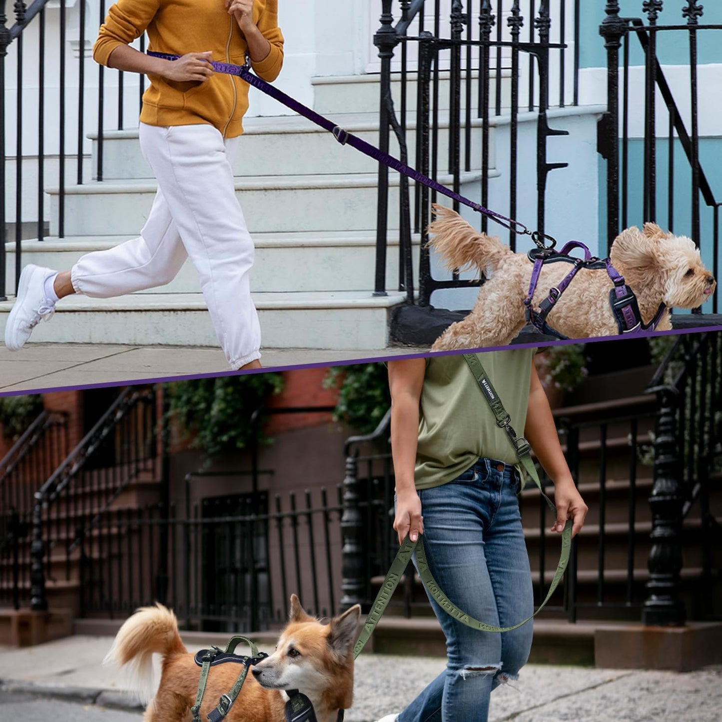 Attention Leash