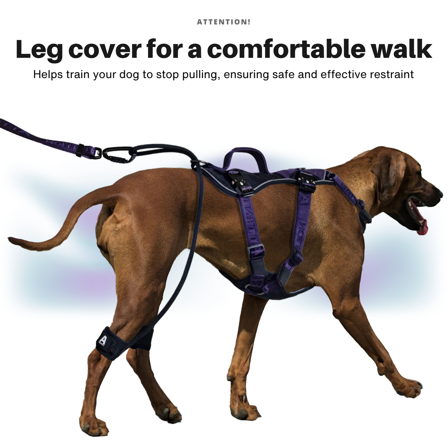 Attention Dog Harness with Leg Cover