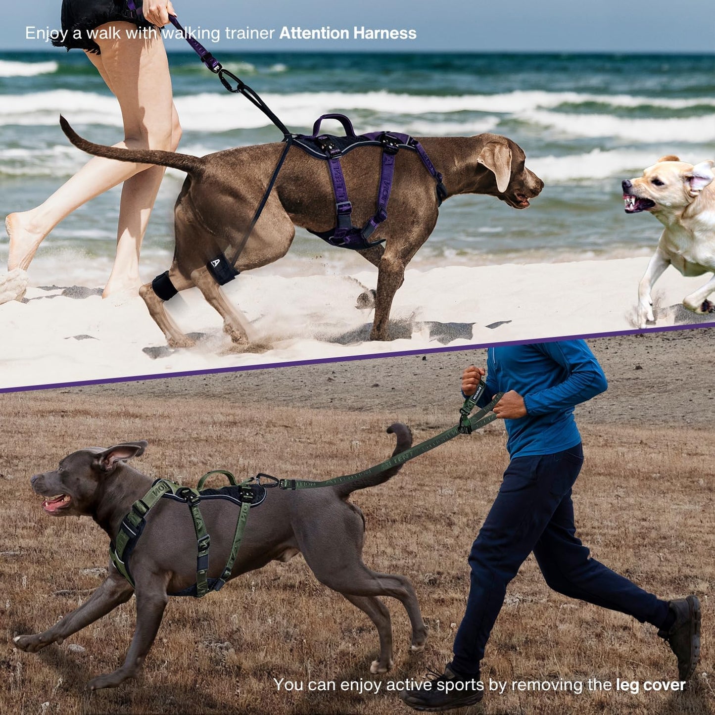 Attention Dog Harness with Leg Cover